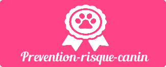 Formation prévention risque canin