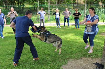 Partie pratique